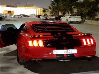 موستنق mustang