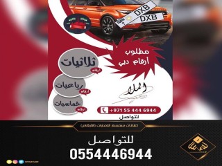 الملا مطلوب ارقام دبي
