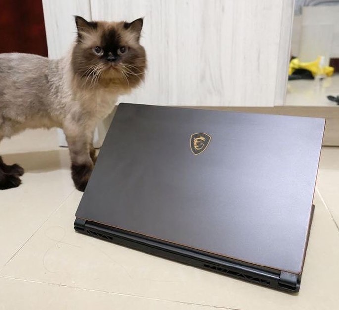 MSI GS65 9SD STEALTH(SLIM)