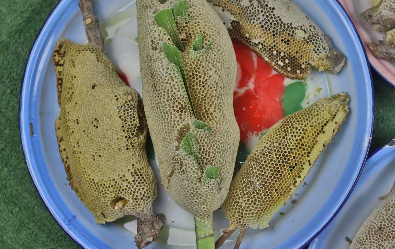 عسل حر برى