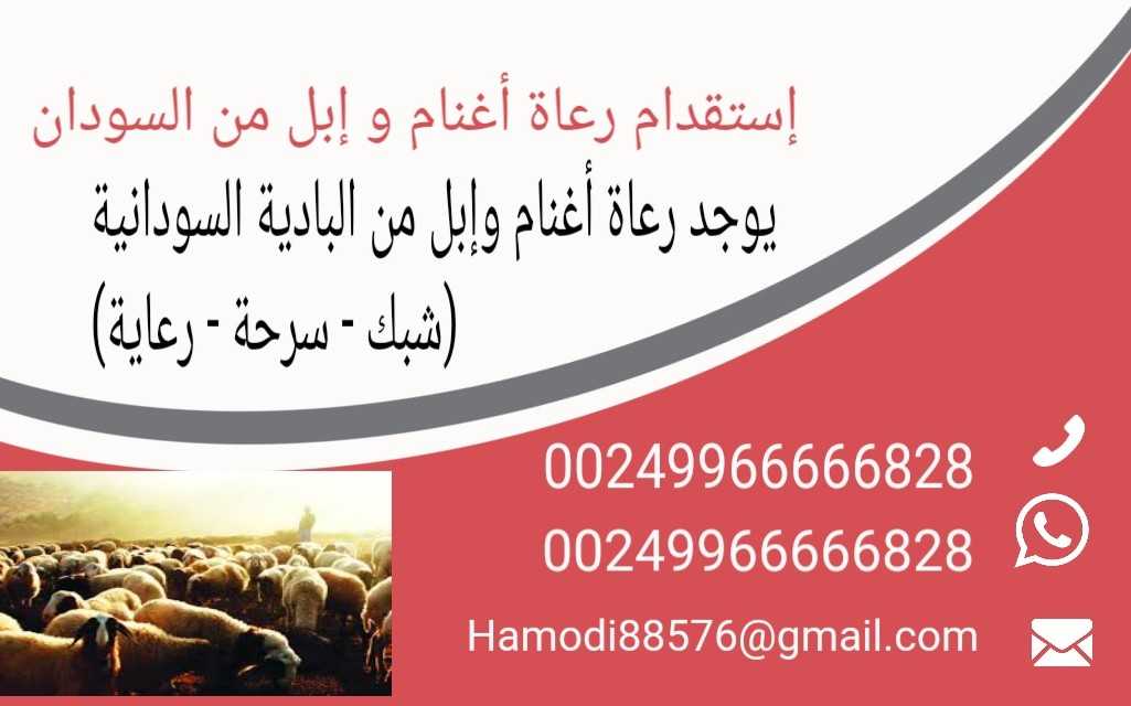 استقدام رعاة من السودان 249966666828+