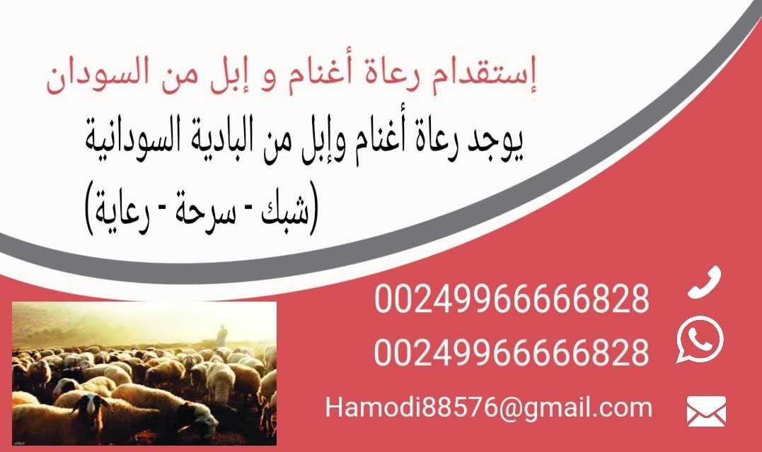 استقدام راعي من السودان 00249966666828