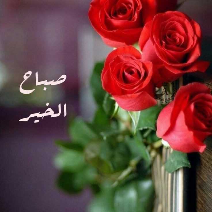 وكيل خدمات اماراتي